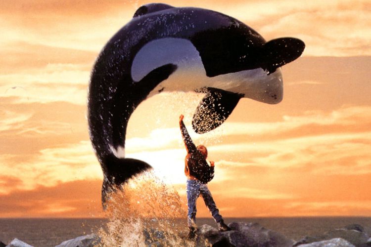 free willy and cultural culling
